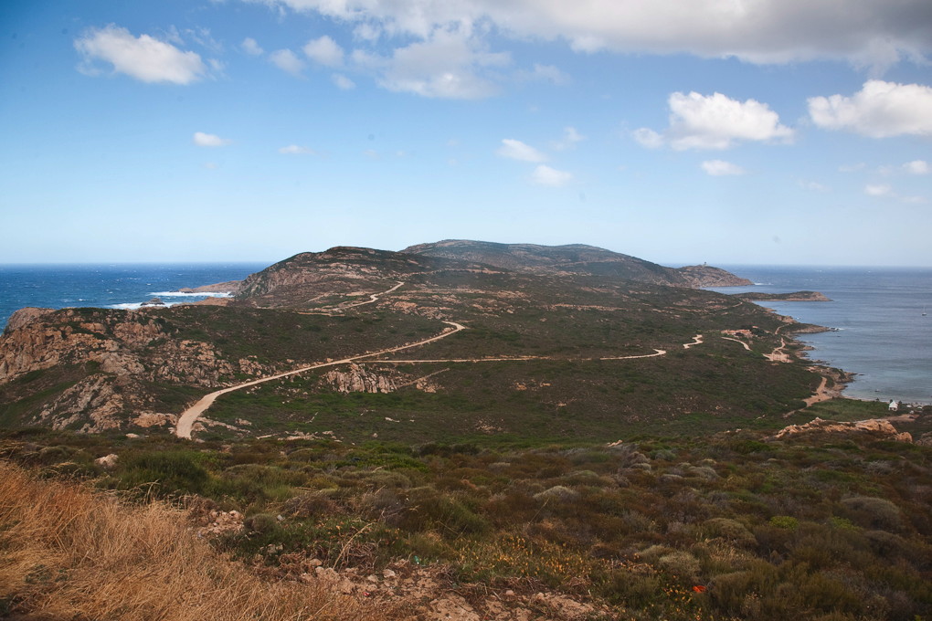 La Revellata, Calvi